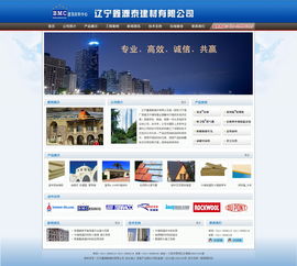 大連網(wǎng)站建設與設計 新圖聞科技的專業(yè)之道